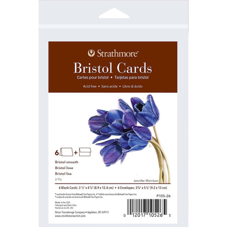 400 Series Bristol Cards & Envelopes, Anniversary Size, 3.5x4.875 inch, 6 Pack