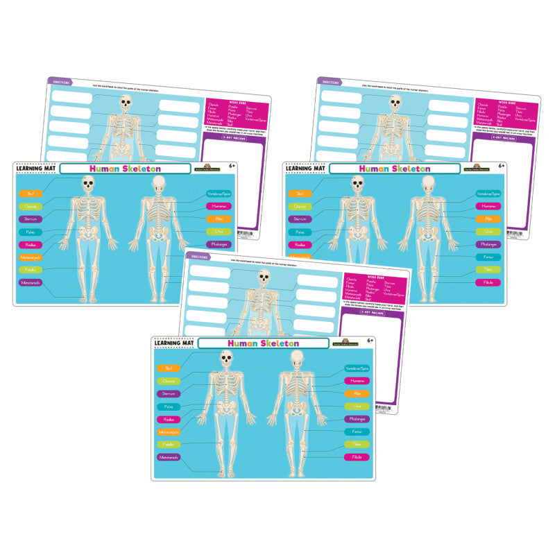 3-Pack Human Skeleton Learning Mat