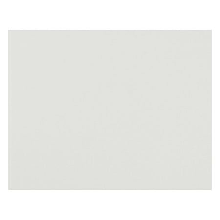 4-Ply Railroad Board, White, 22" x 28", Pack of 50