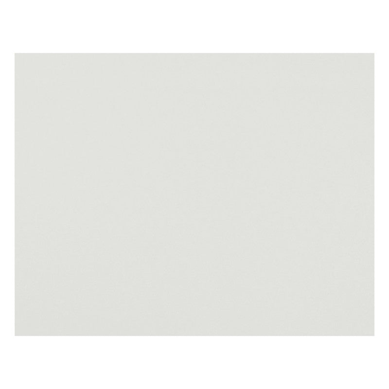 4-Ply Railroad Board, White, 22" x 28", Pack of 50