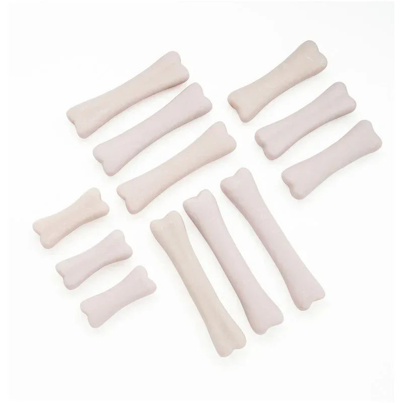 Dinosaur Bones Discovery Set, Pack of 12