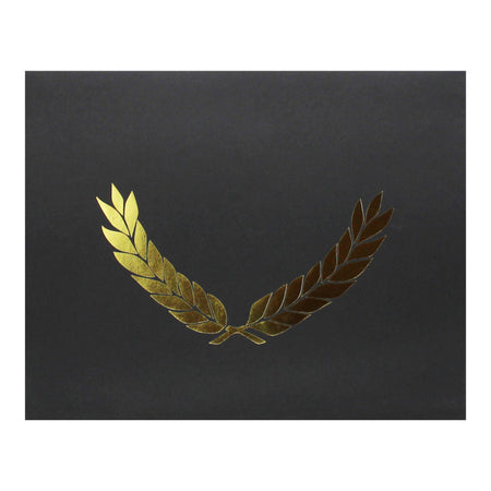 Gold Foil Stamped Black Certificate Folders, 10" x 13", Pack of 30