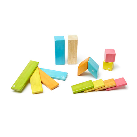 Magnetic Wooden Blocks, Tints, 14 Pieces