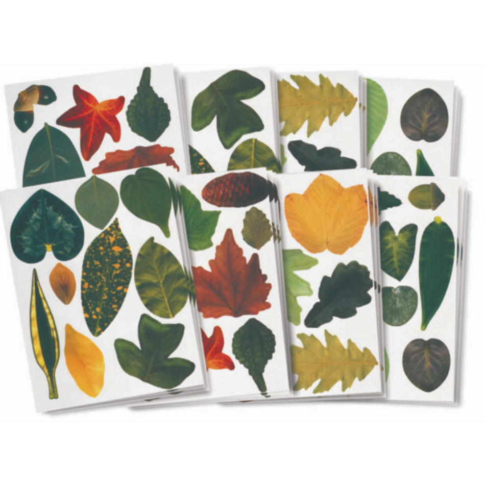 Roylco Crafty Leaves Craft Paper  266 leaves/Pk  (R15334)