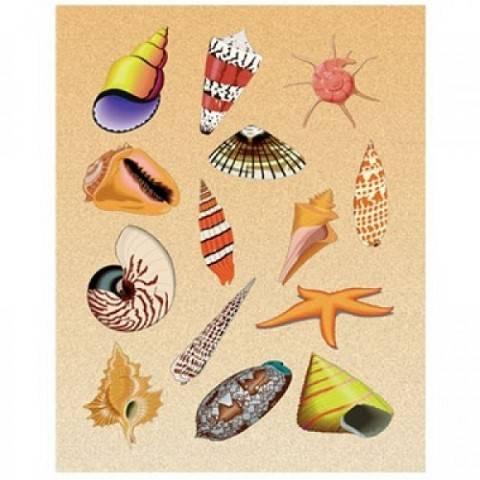 Hygloss Sea Shells Stickers 3 Sheets (1828)