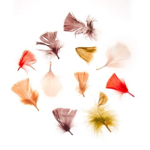 All Purpose Craft Feathers - Natural Colors - 14 grams
