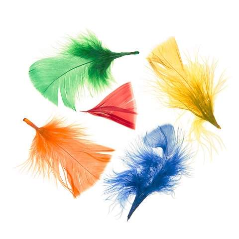 All Purpose Craft Feathers - Assorted Bright Colors - 14 grams