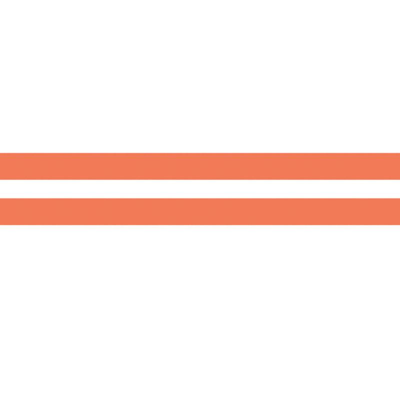 Dino Quest Red Orange Classroom Border Trim, 24 Strips, 2-Pack