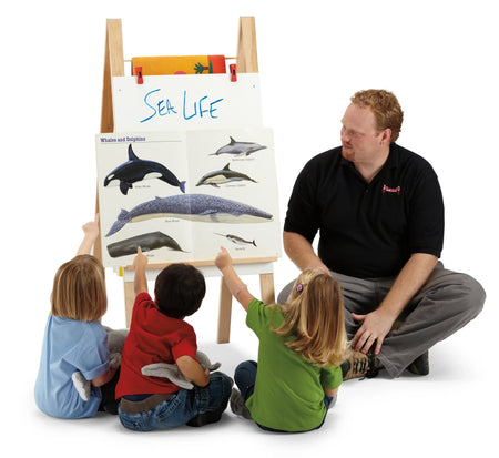 Jonti-Craft® Teachers' Standard Easel - Write-n-Wipe