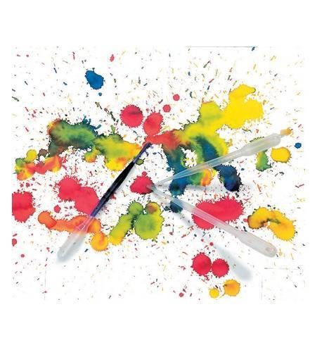 Plastic Paint Pipettes Set of 12