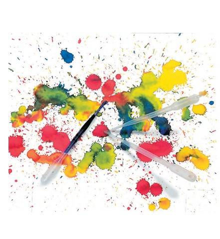 Plastic Paint Pipettes Set of 12