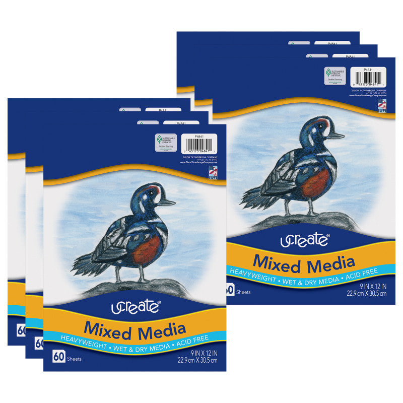 Mixed Media Art Paper, Heavyweight, 9" x 12", 60 Sheets Per Pack, 6 Packs