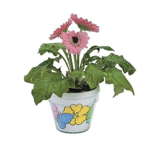 Plastic Artist Flowerpots - Pack of 12