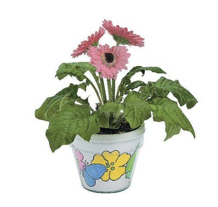 Plastic Artist Flowerpots - Pack of 12