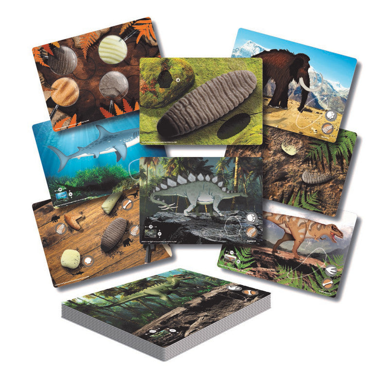 Prehistoric Teeth &ndash; Explore and Discover Activity Cards, Set of 16
