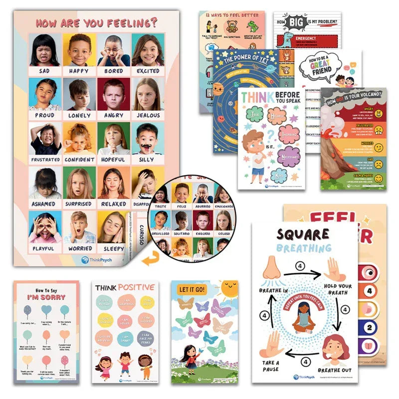 Laminated Feelings & Life Skills Posters for Kids, 11" x 17", English & Spanish, Set of 12