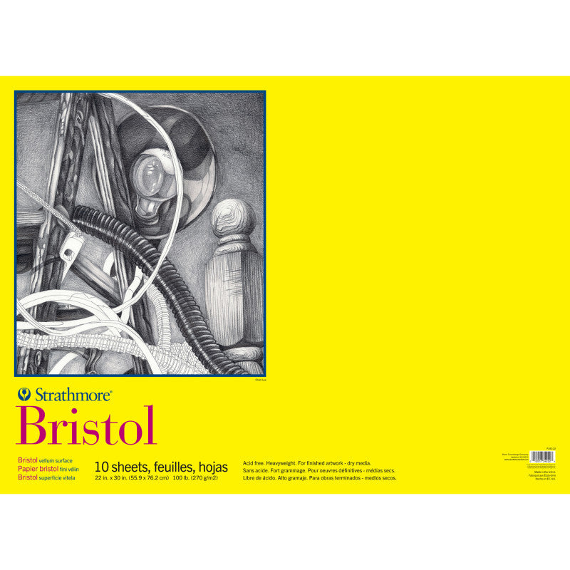 300 Series Bristol Paper Pad, Vellum Finish, Tape Binding, 10 Sheet, 22x30 inch, 1 Count
