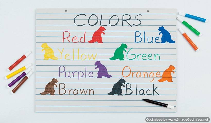 PRIMARY CHART PAD WHITE 24" X 18" 1" RULED 100 SHEETS