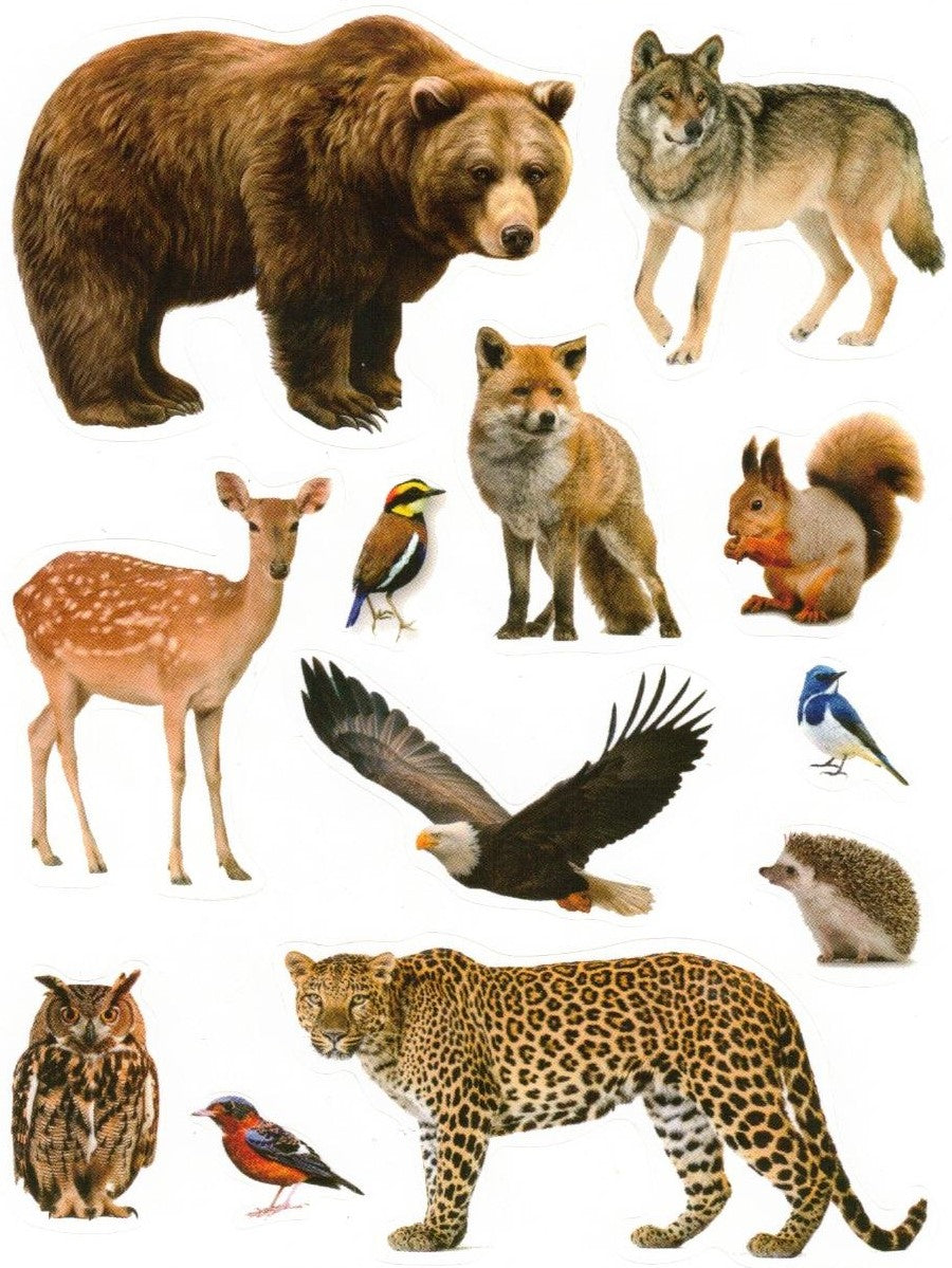 Large Wild Animals Stickers  3.5",  225 Per Pack