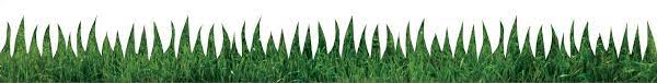 Hygloss Classroom Die Cut, Natural Grass, 3 x 36-Inch 12-Pack, 33670