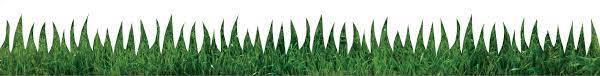 Hygloss Classroom Die Cut, Natural Grass, 3 x 36-Inch 12-Pack, 33670