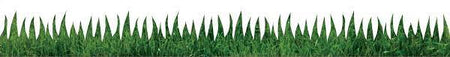 Hygloss Classroom Die Cut, Natural Grass, 3 x 36-Inch 12-Pack, 33670