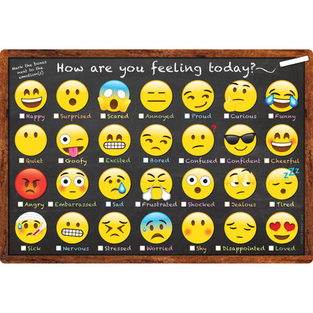 Smart Poly&trade; Chart, 13" x 19", Emotions Icon How Are You Feeling