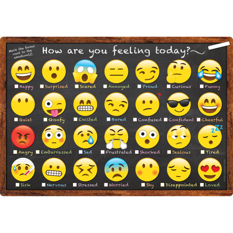 Smart Poly&trade; Chart, 13" x 19", Emotions Icon How Are You Feeling