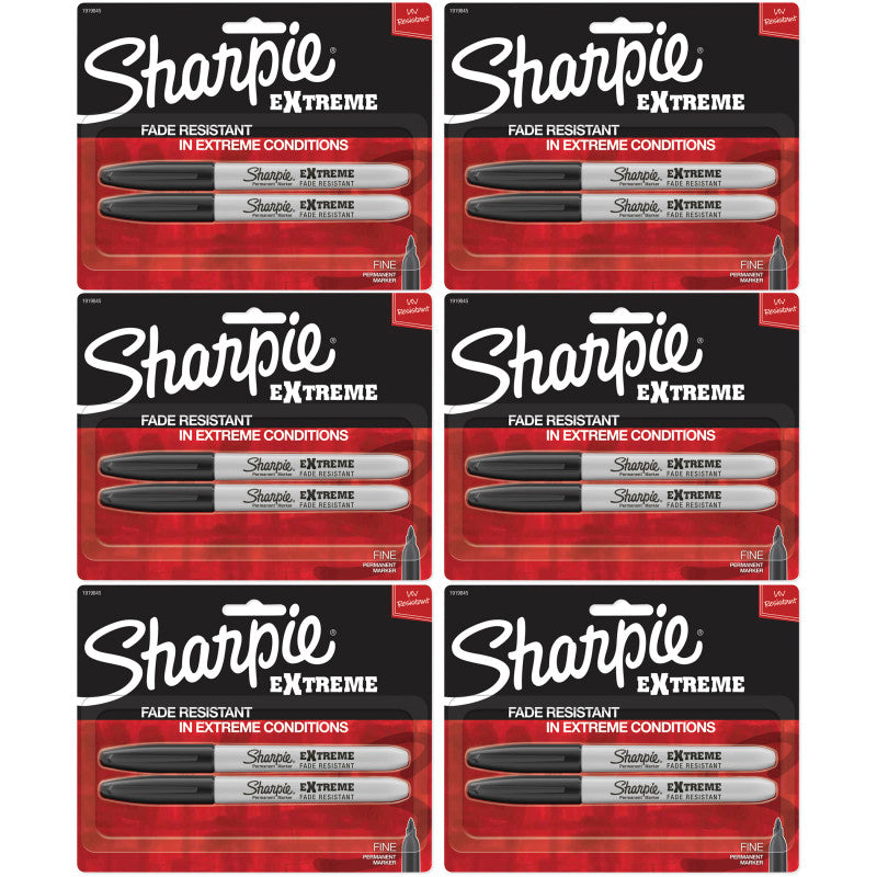 Extreme Permanent Markers, Black, 2 Per Pack, 6 Packs