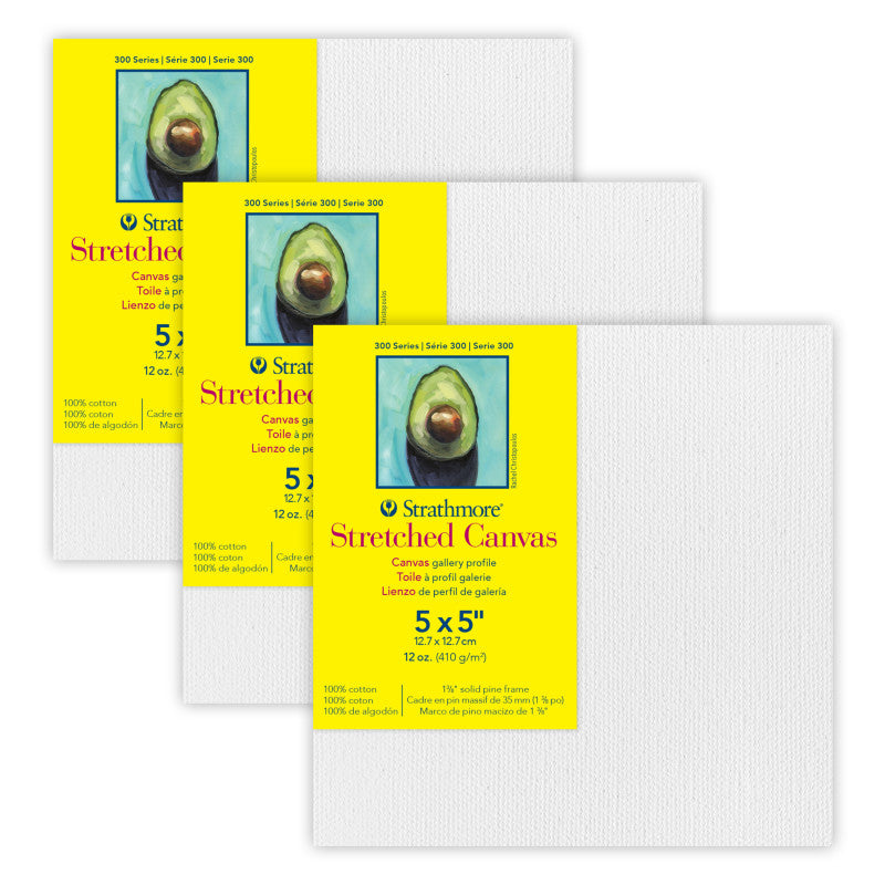 300 Series Gallery Stretched Canvas, 5x5 inch, Pack of 3