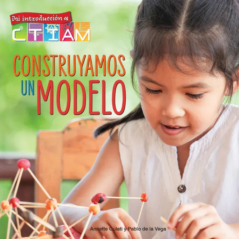 Construyamos un modelo Paperback