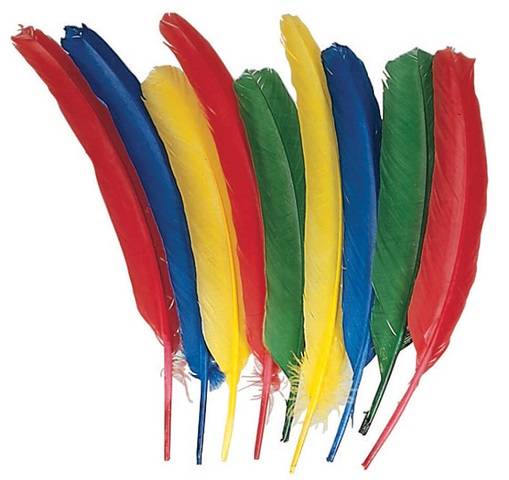 CREATIVITY STREET, QUILL FEATHERS 12" ASSORTED COLORS 24 PIECES