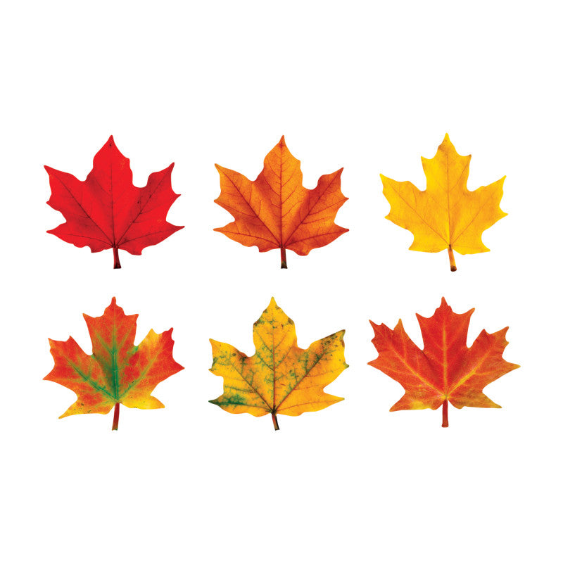 Maple Leaves Classic Accents&reg; Variety Pack, 36 ct