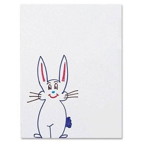 Peacock 6-Ply Poster Board (Railroad Board) - 22" X 28" White 100/carton