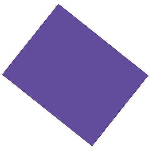 4-Ply Railroad Poster Board, 22" x 28", 25 Sheets Violet
