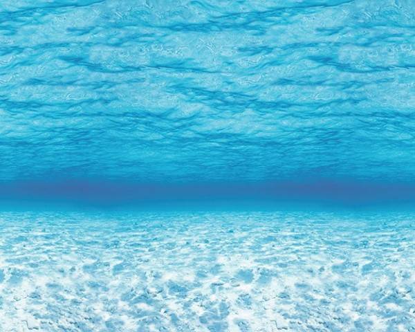 Pacon Fadeless Designs Bulletin Board Art Paper, 48" x 50-Feet, Under The Sea, 56525