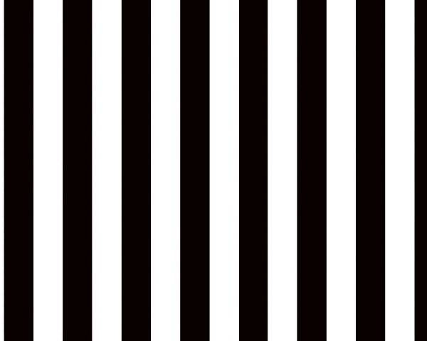 Pacon Fadeless Design Rolls Bulletin Board Art Paper, 48" x 50-Feet - Classic Stripes- Black & White -57625