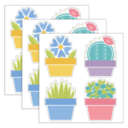 Garden Plants Classic Accents&reg; Variety Pack, 36 Per Pack, 3 Packs