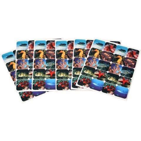 Eureka Saltwater Life Theme Stickers (655024)