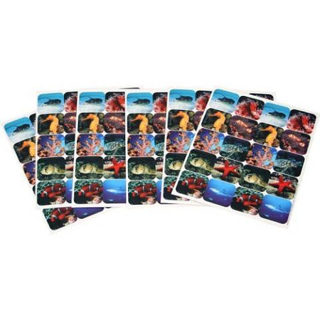 Eureka Saltwater Life Theme Stickers (655024)