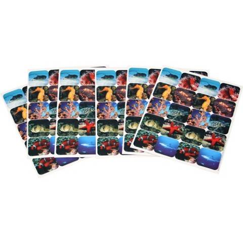 Eureka Saltwater Life Theme Stickers (655024)