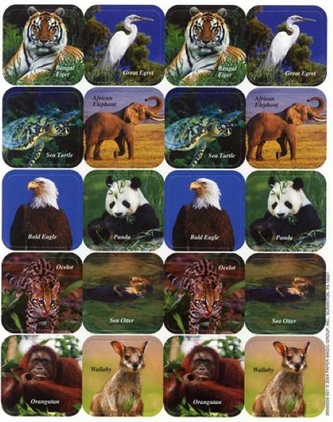 Eureka Endangered Animals Theme Stickers (655025)