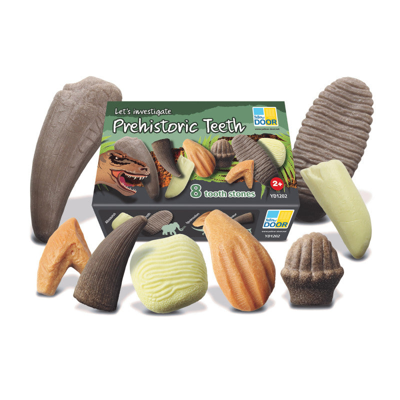 Let's Investigate &ndash; Prehistoric Teeth, Set of 8