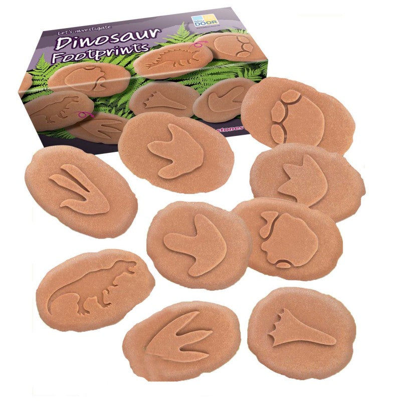 Let's Investigate Dinosaur Footprints