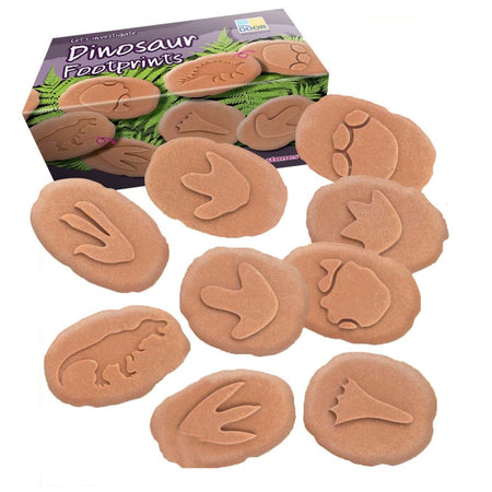 Let's Investigate Dinosaur Footprints