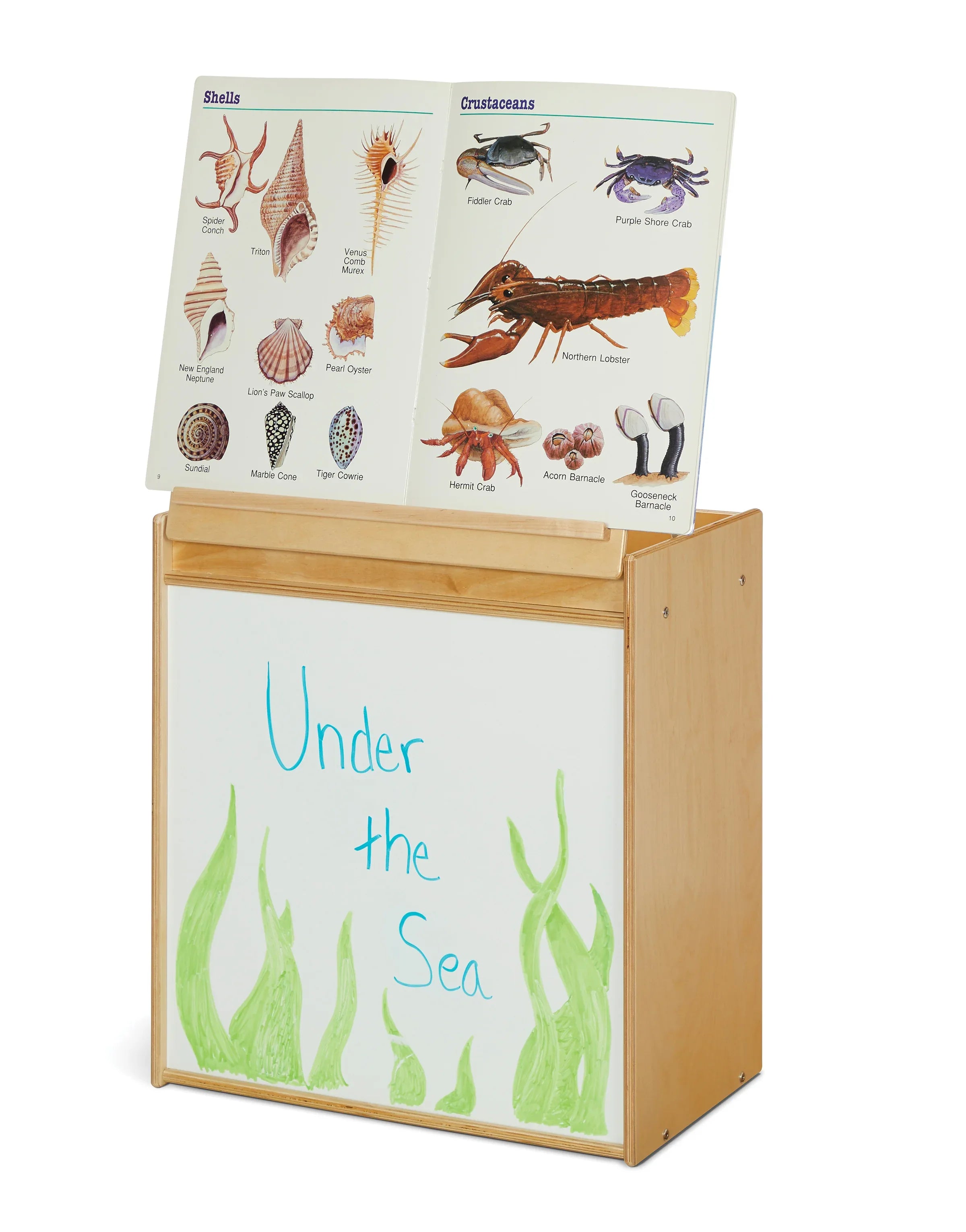Young Time® Big Book Easel