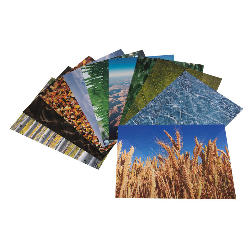 Nature Around Us Printed Craft Paper, 11.7 x 8.3 in, 40 Sheets