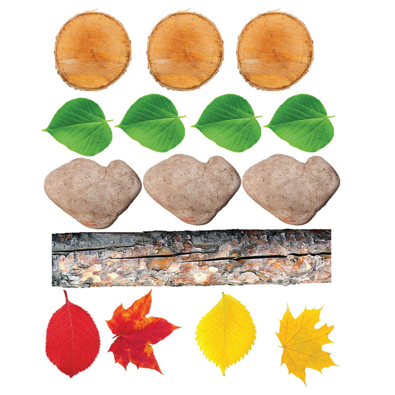 Nature's Footsteps - Set of 15 Nature-Inspired Rubber Mats - Ages 3+