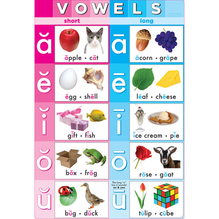 Smart Poly&reg; Chart Vowels, 13" x 19"