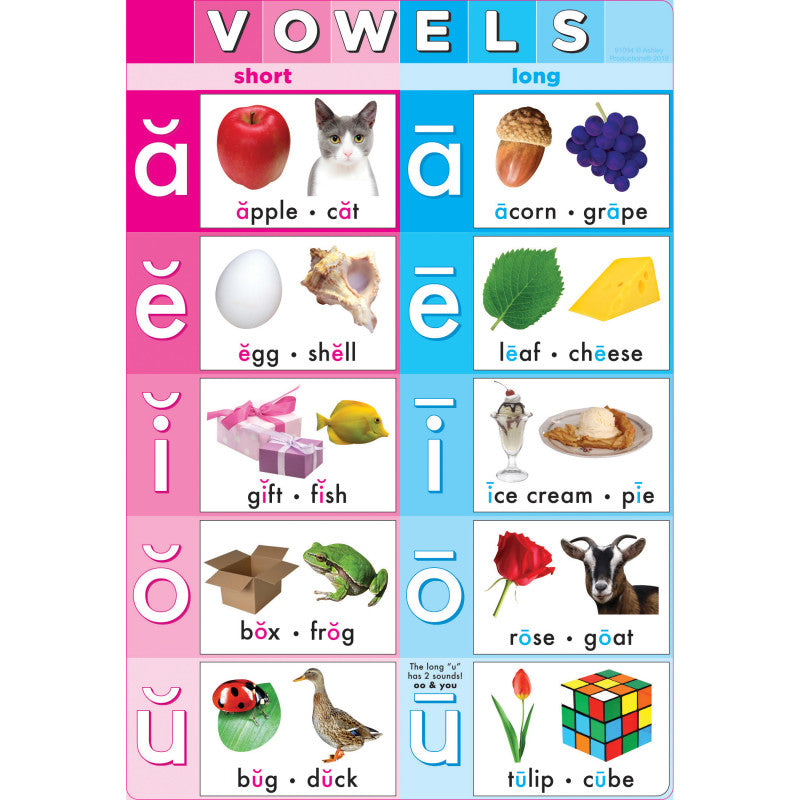 Smart Poly&reg; Chart Vowels, 13" x 19"